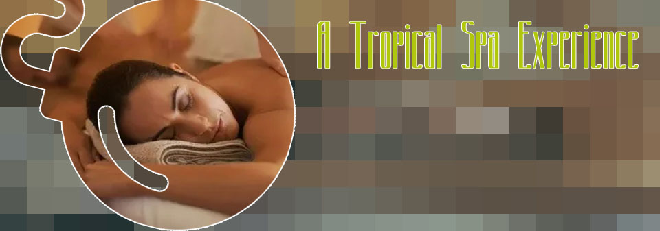 Couples massage spa near me