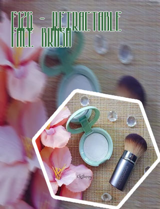Retractable face brush